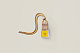 AMBRE EPICE | Poemes de Provence